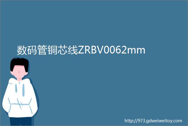 数码管铜芯线ZRBV0062mm