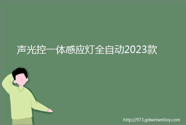 声光控一体感应灯全自动2023款